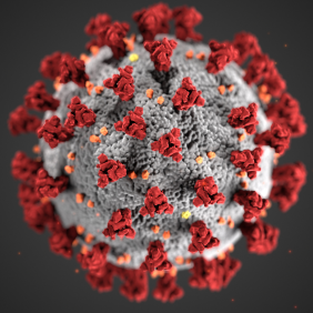 Corona Virus Bild aus Canva free